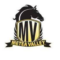 Team Page: Metea Valley High School
